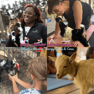 Pottery Workshops at GGA Dwarf Goat Yoga | Tucker, GA (Multiple Dates)