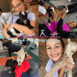 Pottery Workshops at GGA Dwarf Goat Yoga | Tucker, GA (Multiple Dates)